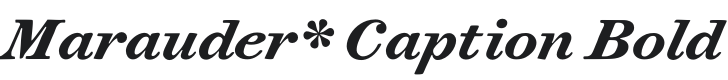 Marauder* Caption Bold Italic Font Preview