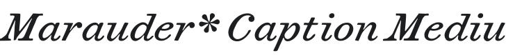 Marauder* Caption Medium Italic Font Preview