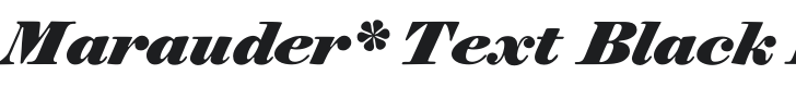 Marauder* Text Black Italic Font Preview