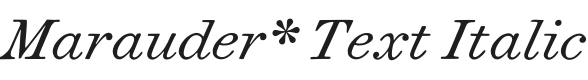 Marauder* Text Italic Font Preview