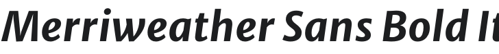 Merriweather Sans Bold Italic Font Preview