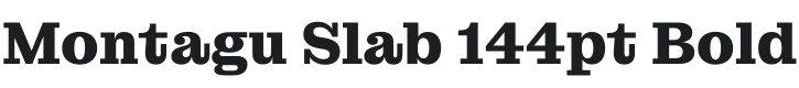 Montagu Slab 144pt Bold Font Preview