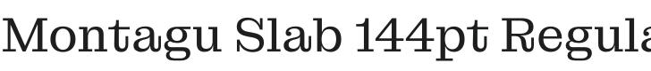 Montagu Slab 144pt Regular Font Preview
