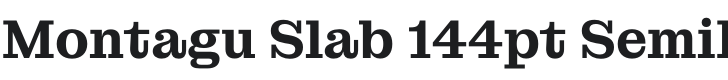 Montagu Slab 144pt SemiBold Font Preview