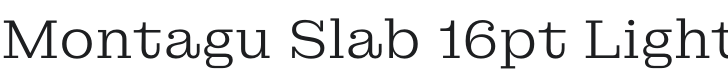 Montagu Slab 16pt Light Font Preview