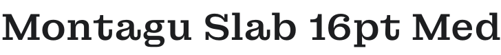 Montagu Slab 16pt Medium Font Preview