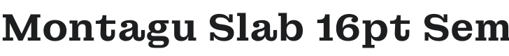 Montagu Slab 16pt SemiBold Font Preview