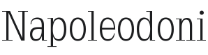 Napoleodoni Font Preview