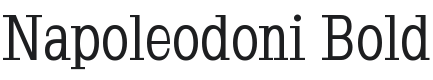 Napoleodoni Bold Font Preview