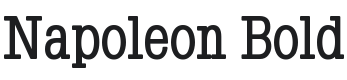 Napoleon-Bold Font Preview