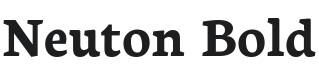 Neuton Bold Font Preview