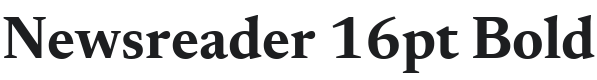 Newsreader 16pt Bold Font Preview