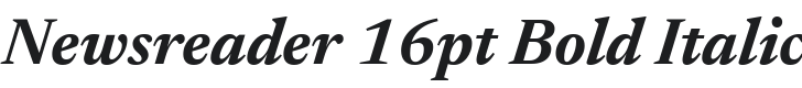 Newsreader 16pt Bold Italic Font Preview