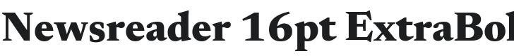 Newsreader 16pt ExtraBold Font Preview