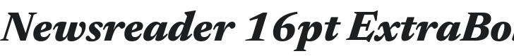 Newsreader 16pt ExtraBold Italic Font Preview