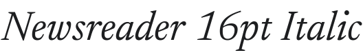 Newsreader 16pt Italic Font Preview