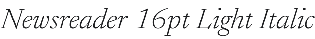 Newsreader 16pt Light Italic Font Preview