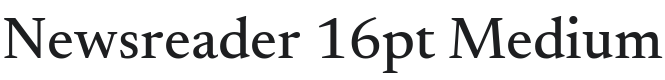 Newsreader 16pt Medium Font Preview