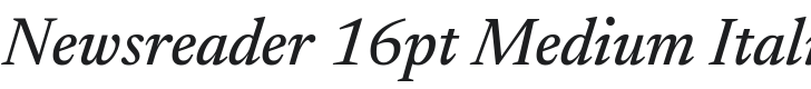 Newsreader 16pt Medium Italic Font Preview