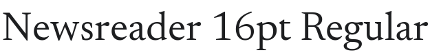 Newsreader Font Preview