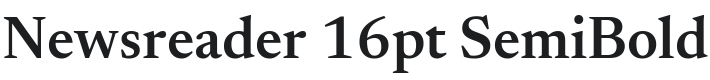 Newsreader 16pt SemiBold Font Preview