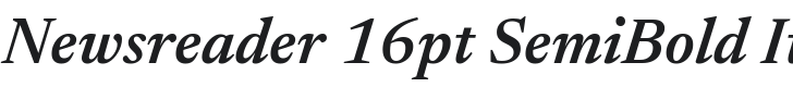Newsreader 16pt SemiBold Italic Font Preview