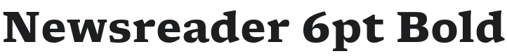 Newsreader 6pt Bold Font Preview