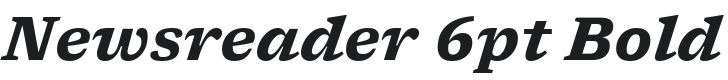 Newsreader 6pt Bold Italic Font Preview