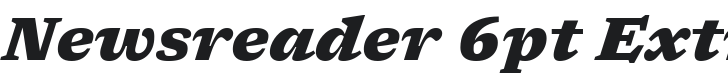 Newsreader 6pt ExtraBold Italic Font Preview