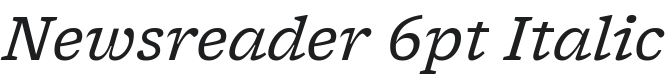 Newsreader 6pt Italic Font Preview