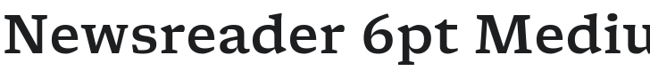 Newsreader 6pt Medium Font Preview
