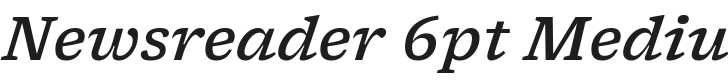 Newsreader 6pt Medium Italic Font Preview