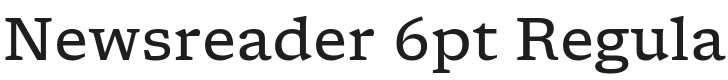 Newsreader 6pt Regular Font Preview