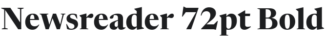 Newsreader 72pt Bold Font Preview