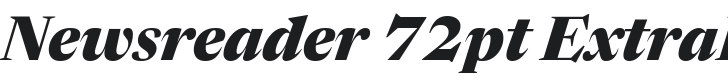 Newsreader 72pt ExtraBold Italic Font Preview