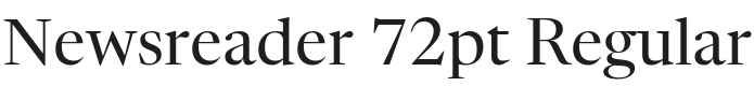 Newsreader 72pt Regular Font Preview
