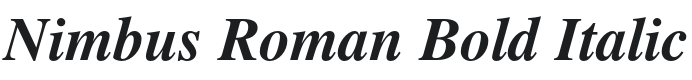 Nimbus Roman Bold Italic Font Preview
