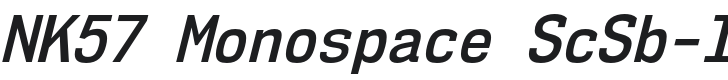 NK57 Monospace ScSb-Italic Font Preview
