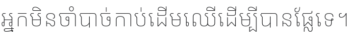 Nokora Thin Font Preview