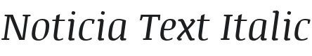 Noticia Text Italic Font Preview