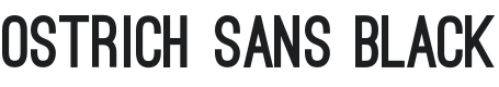 Ostrich Sans Black Font Preview