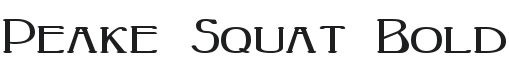 Peake Squat Bold Font Preview