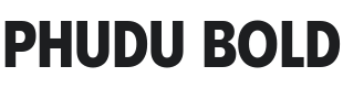 Phudu Bold Font Preview