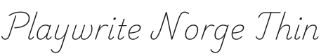 Playwrite NO Thin Font Preview