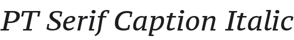 PT Serif Caption Italic Font Preview
