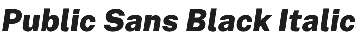 Public Sans Black Italic Font Preview