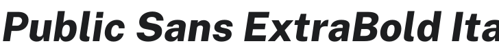 Public Sans ExtraBold Italic Font Preview
