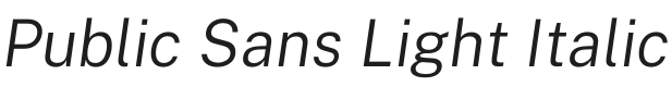 Public Sans Light Italic Font Preview
