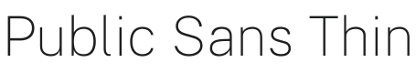 Public Sans Thin Font Preview