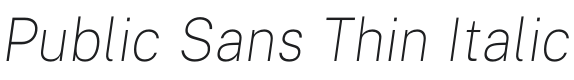 Public Sans Thin Italic Font Preview